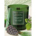 Candle Sojowa świeca z drewnianym knotem - CEDARWOOD