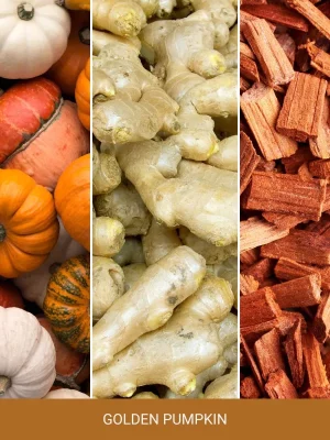 Podzielony obraz przedstawia małe pomarańczowe i białe dynie po lewej stronie, korzenie imbiru w środku i złote dynie-swieca-mini (1) Cinnamon Stick mini kawałki po prawej stronie. Tekst poniżej brzmi: ZŁOTA DYNIA.