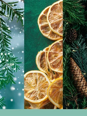 Trzy pionowe panele - oprószone śniegiem wiecznie zielone rośliny, suszone plasterki cytryny na zielonym tle i szyszki ze światełkami osadzone w sosnowych gałęziach - oddają świątecznego ducha świąteczno-zimowego festiwalu-swieca-mini (1).